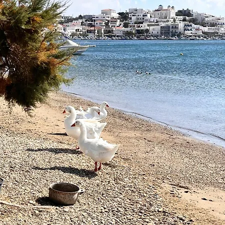 Sea Senses Andros - A Beachfront Retreat Apartament Gavrio