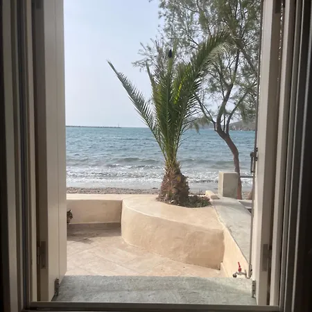 Sea Senses Andros - A Beachfront Retreat Апартаменты Гаврион