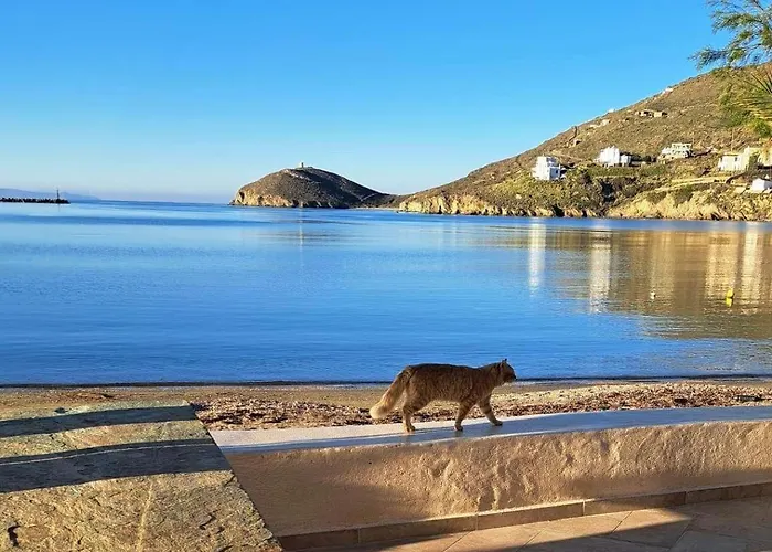 Sea Senses Andros - A Beachfront Retreat