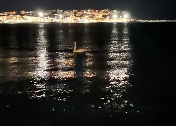 Sea Senses Andros - A Beachfront Retreat