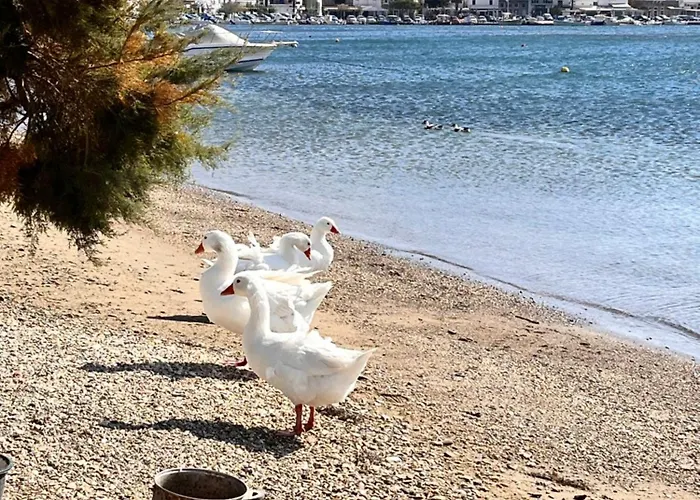 Sea Senses Andros - A Beachfront Retreat Διαμέρισμα Γαύριο